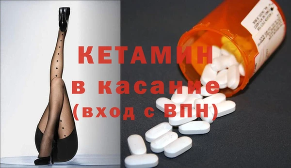 хмурый Аркадак