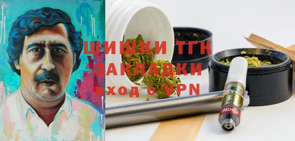 стаф Касимов