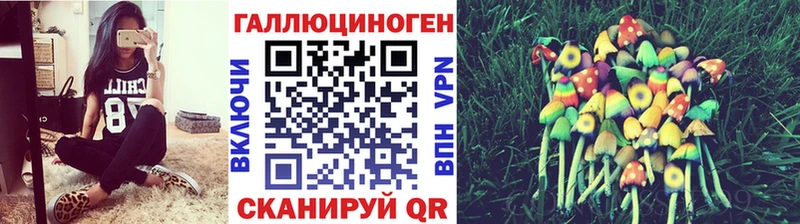 Псилоцибиновые грибы Psilocybine cubensis  закладка  Дорогобуж 